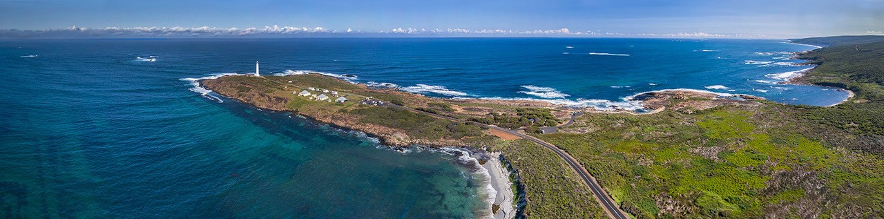 Whale Watch Western Australia & Harvest Tours Whale Wilderness Cruise Experience