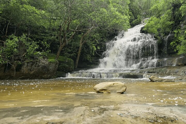 Private Central Coast Outdoor Nature Tour from Sydney