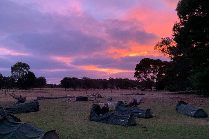 3-Day Kangaroo Island Adventure Tour