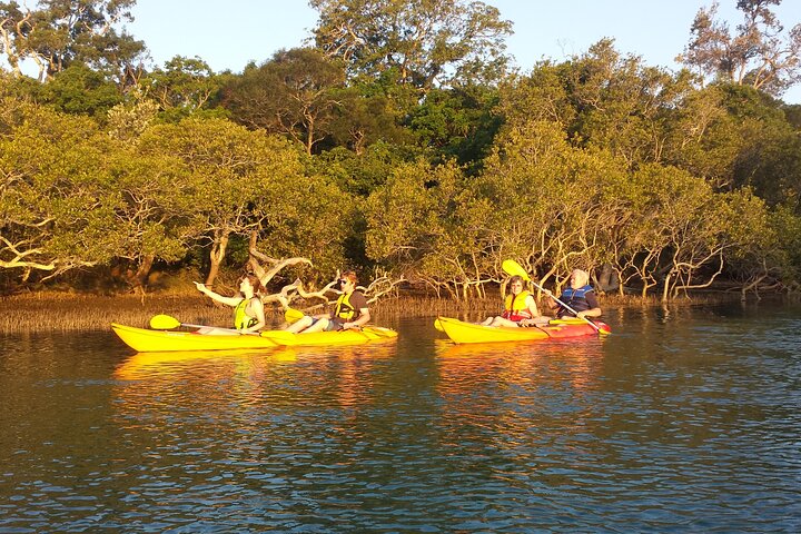 Sunset Kayak Eco Tour with Marine Scientist
