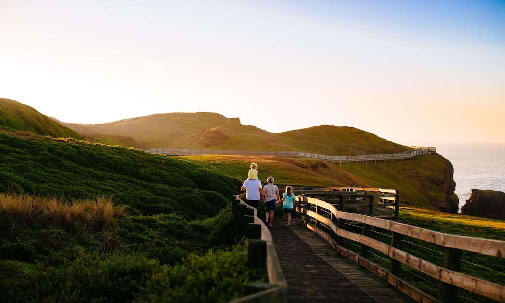 Phillip Island Penguins Day Tour