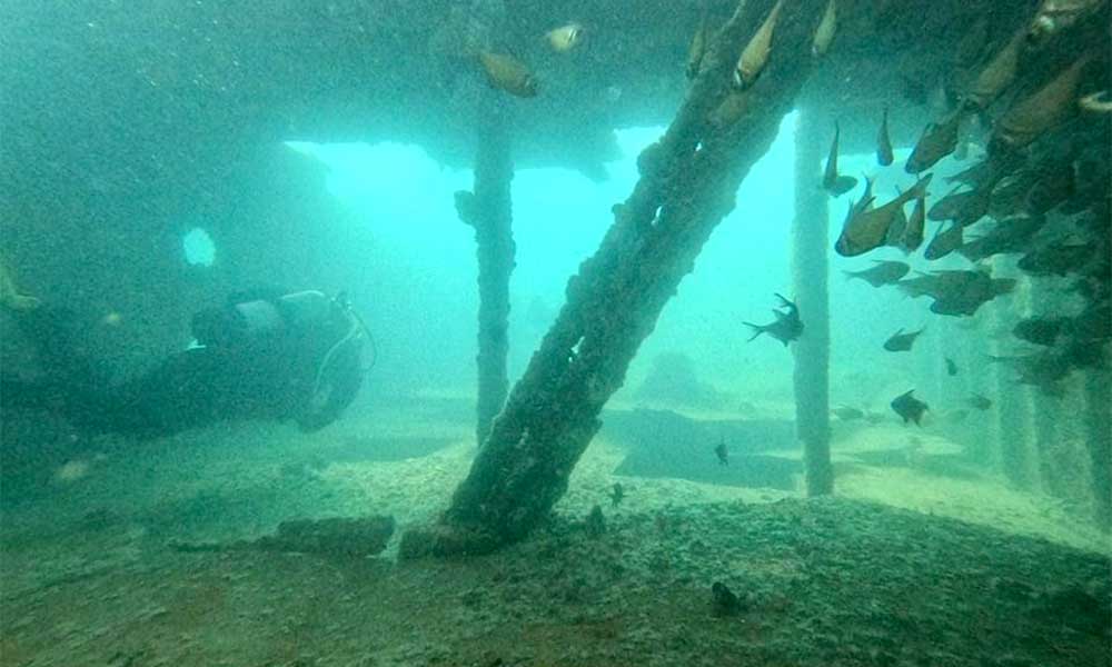 MV Lena Dive Wreck Experience - Double Dive - Bunbury