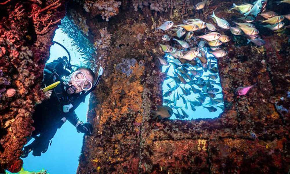 MV Lena Dive Wreck Experience - Double Dive - Bunbury