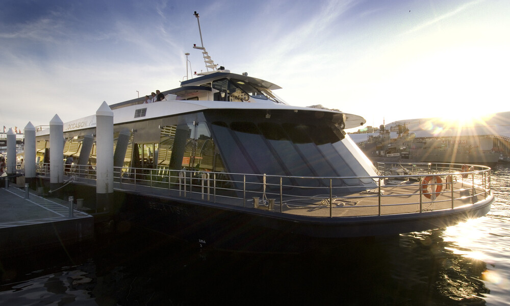 Vivid Sydney Harbour Buffet Dinner Cruise on a Glass Boat - Thursday & Sunday