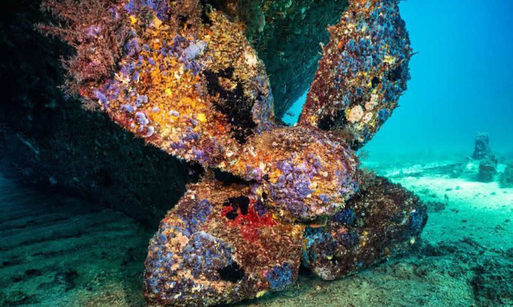 MV Lena Dive Wreck Experience - Double Dive - Bunbury