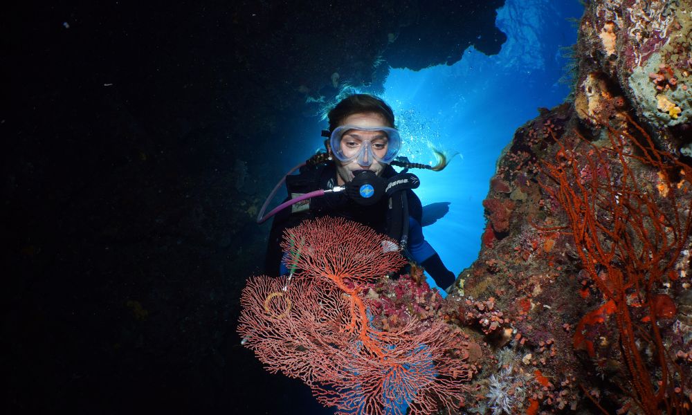 Great Barrier Reef Snorkel and Dive Cruise From Port Douglas