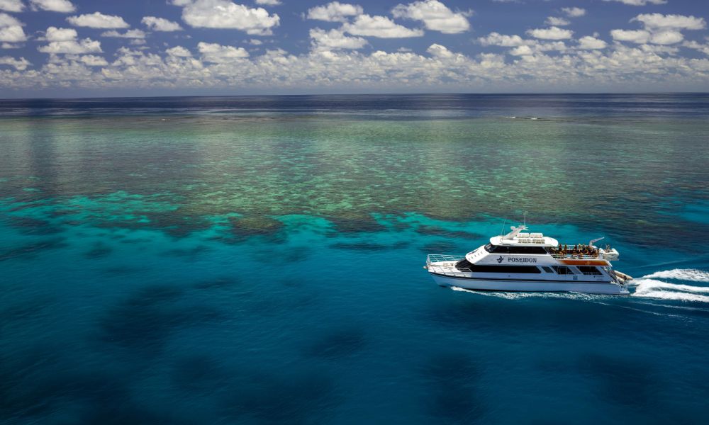 Great Barrier Reef Snorkel and Dive Cruise From Port Douglas