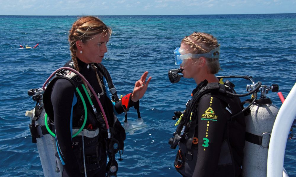 Great Barrier Reef Snorkel and Dive Cruise From Port Douglas