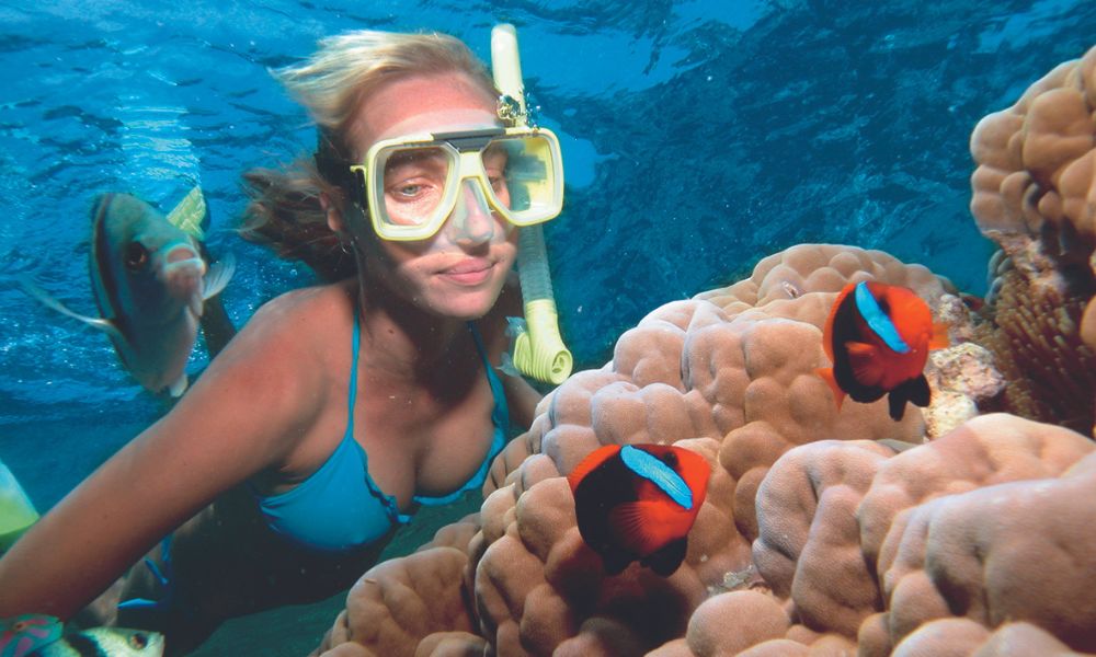 Great Barrier Reef Snorkel and Dive Cruise From Port Douglas