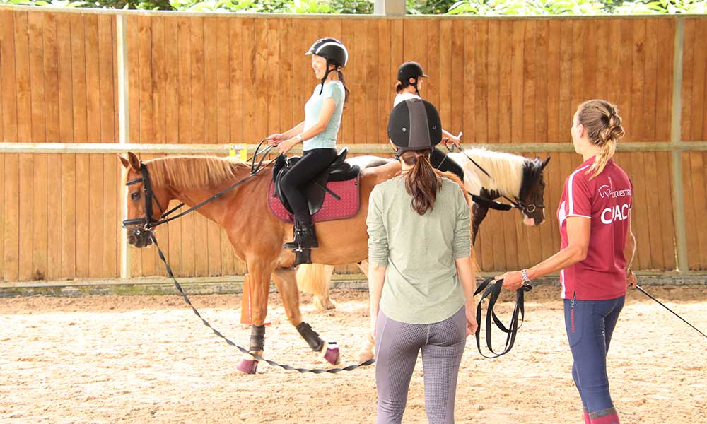 Immersive Learn to Horse Ride Adult 4-Week Course