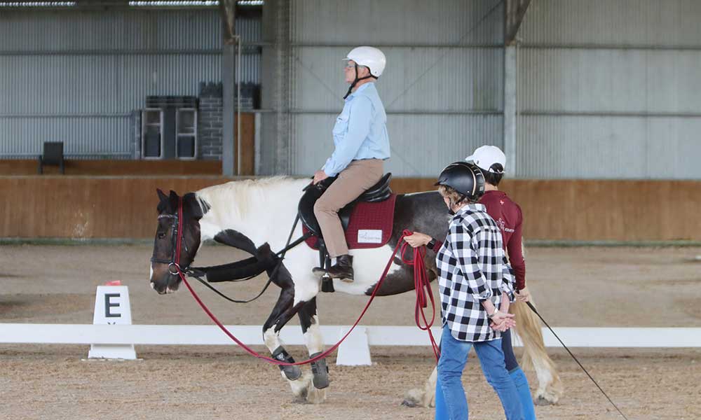 Immersive Learn to Horse Ride Adult 4-Week Course