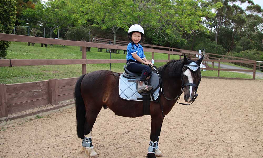 Pony Rides for Preschoolers – 15 Minutes