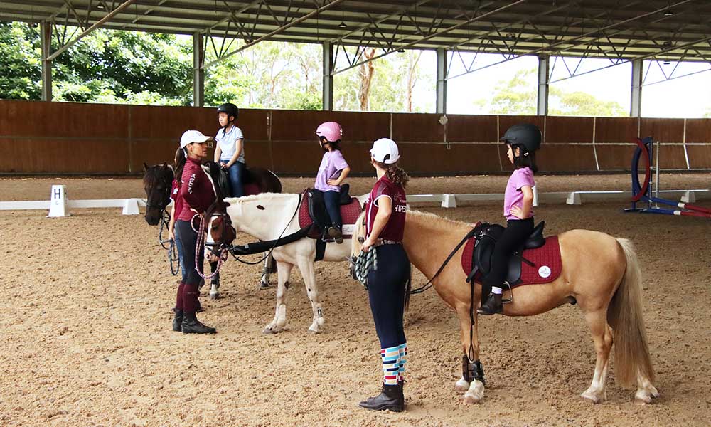 Half Day School Holiday Horse Riding Camps