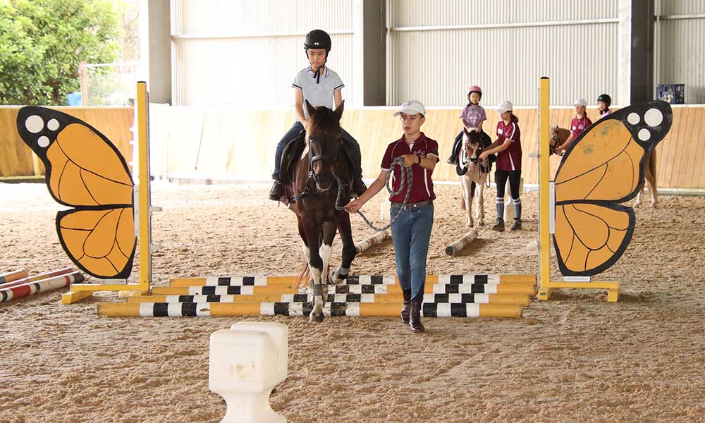 Half Day School Holiday Horse Riding Camps