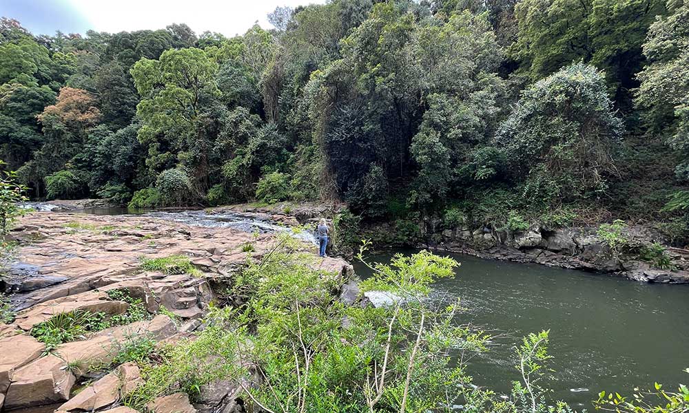 Full Day Sunshine Coast Hinterland Country Drive Private Tour