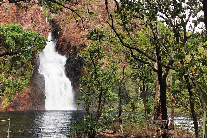 Litchfield National Park Tour & Berry Springs, Max 10 Guests,