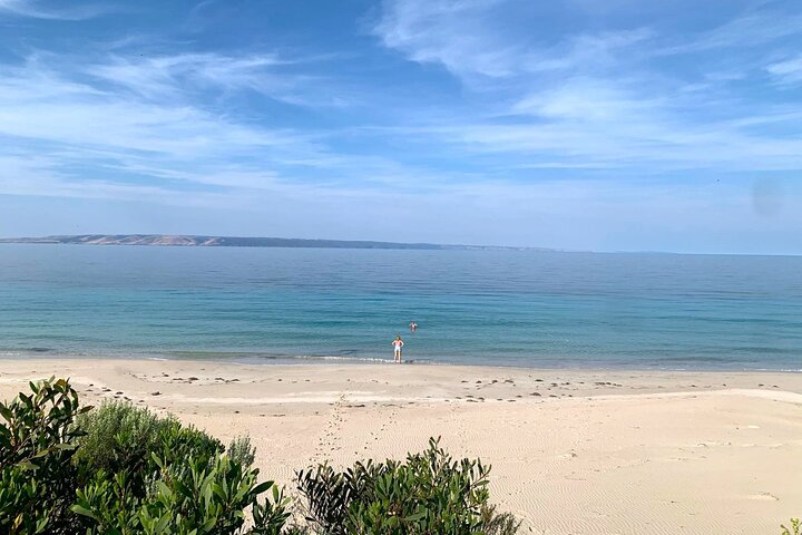 Live Acoustic Music Experience in Coffin Bay Wilderness