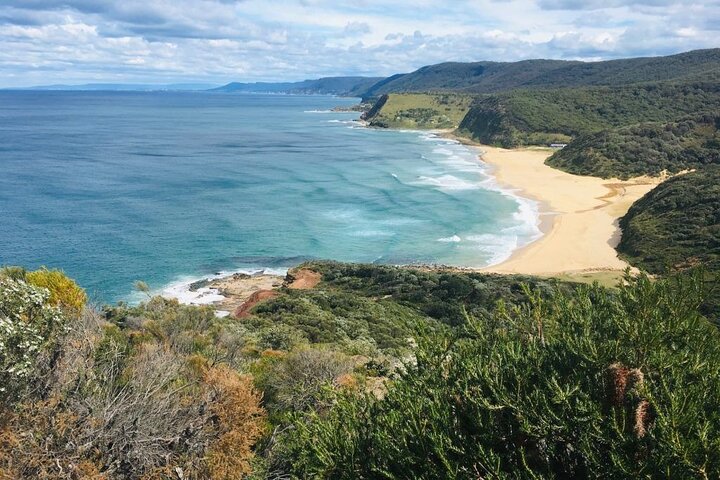 Royal National Park Hike, Swim and Wildlife Tour