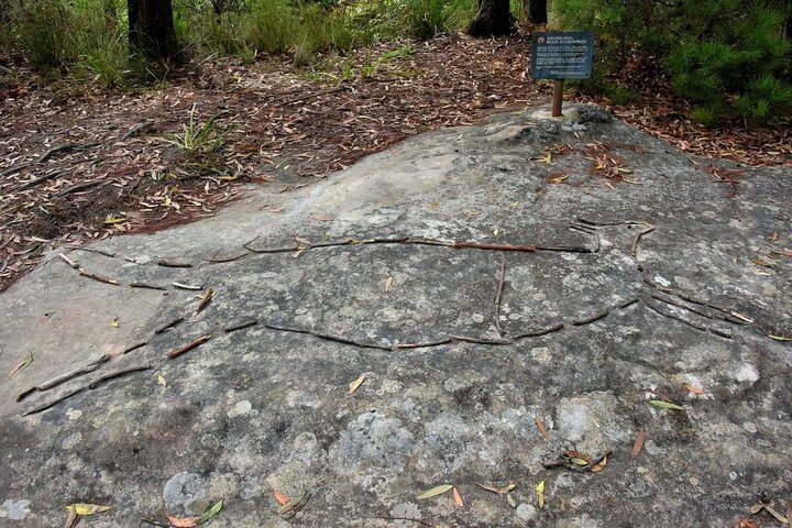 Royal National Park Hike, Swim and Wildlife Tour