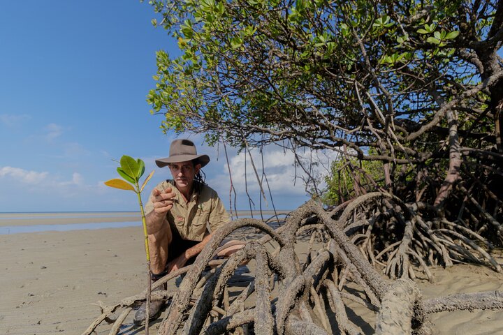 3 Day Cooktown Tour