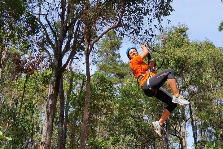 Dwellingup Treetops Adventure Hike