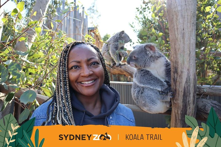 Blue Mountains ALL INCLUSIVE day tour with Free Koala Photo