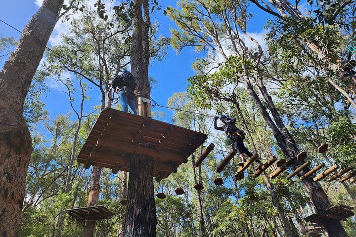 Dwellingup Treetops Adventure Hike
