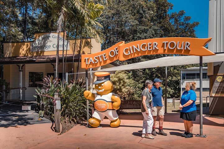 Sunshine Coast Rainforest Views and Montville Day Tour from Noosa