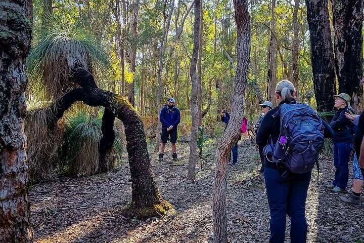 Jarrahdale: Hike, Wine & Dine Experience