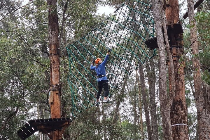 Dwellingup Treetops Adventure Hike