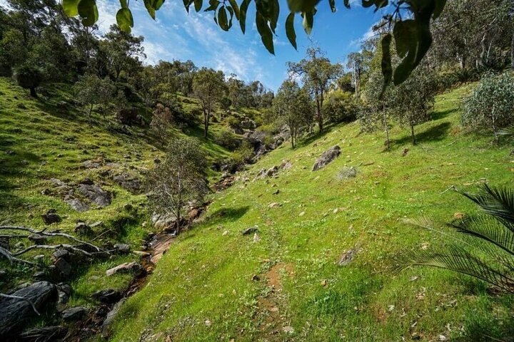 Numbat Trail Hiking Experience