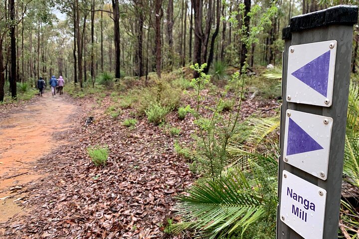 Dwellingup Treetops Adventure Hike