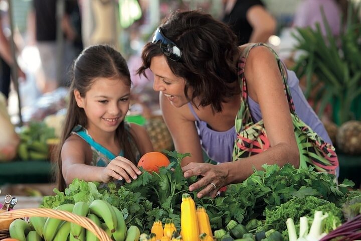 Sunshine Coast Eumundi Markets Return Minibus Transfer from Noosa