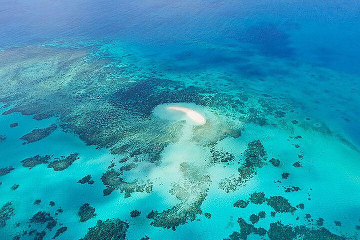 Private Reef and Rainforest 60 minute Scenic Flight