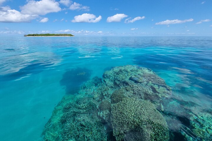 Day Tour to Lady Musgrave Island
