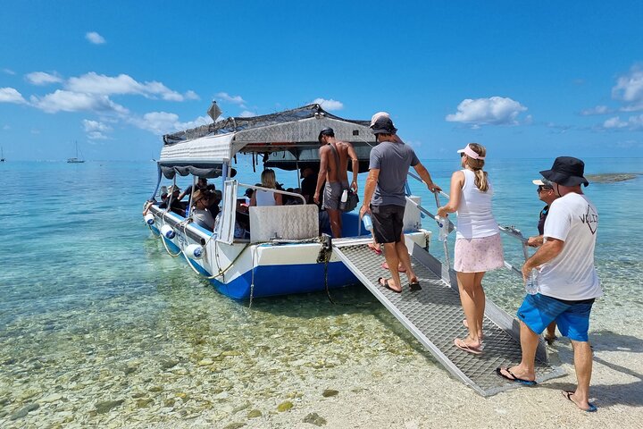 Day Tour to Lady Musgrave Island