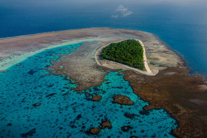 Day Tour to Lady Musgrave Island