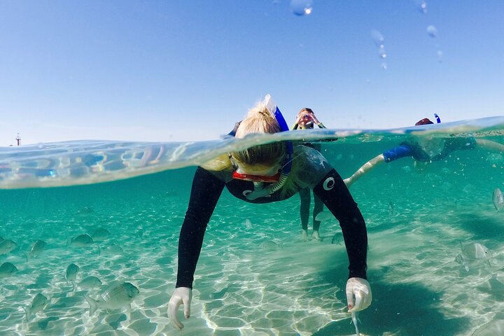 Morning Kayaking and Snorkeling Tour
