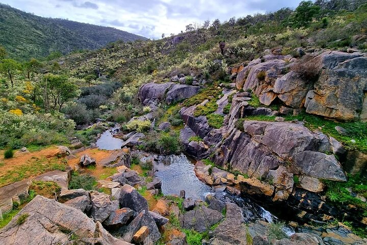 Numbat Trail Hiking Experience