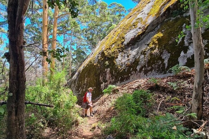 Wilderness Gourmet Multi-Day Tour in Walpole