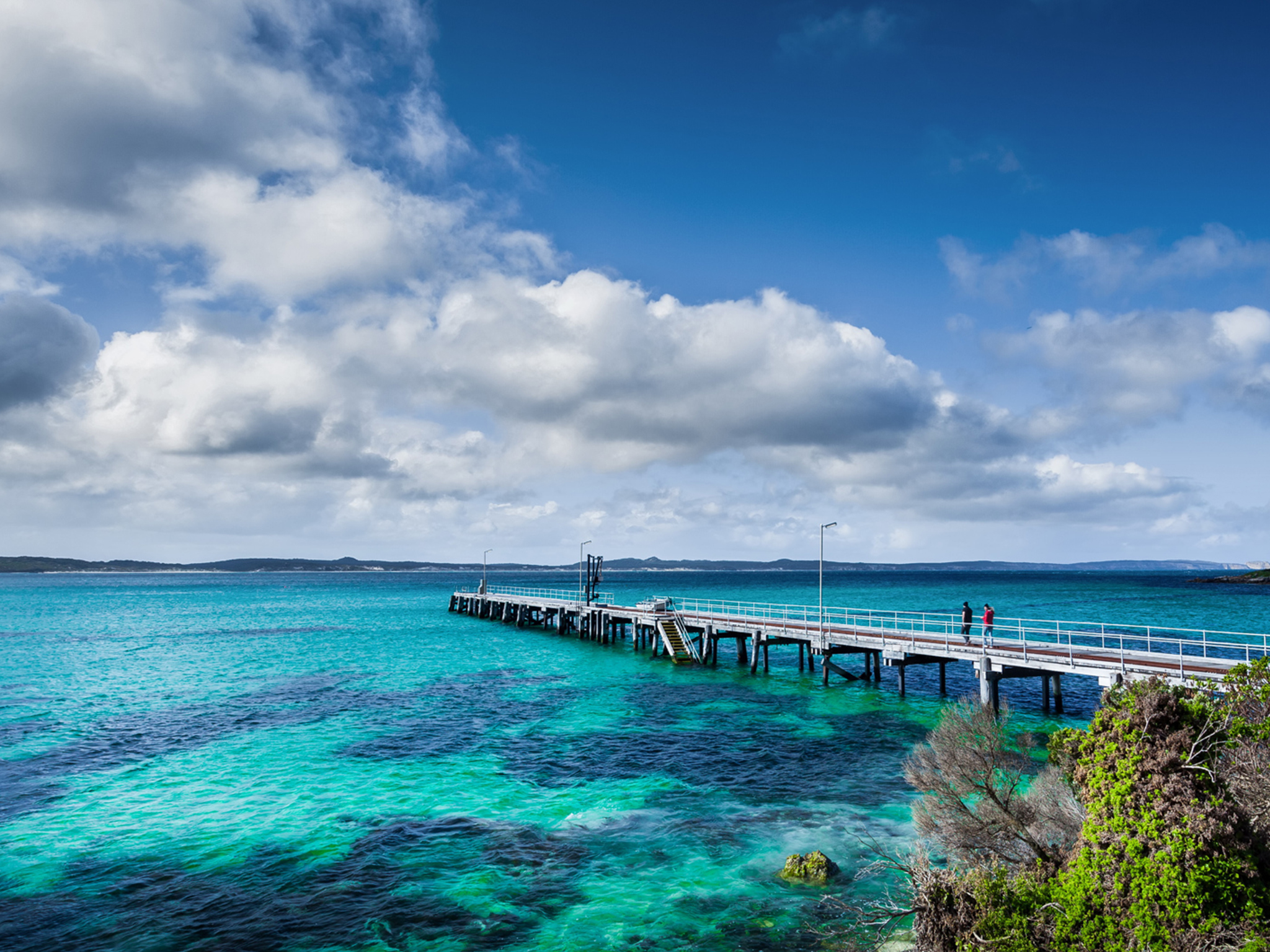 Private Coach - Kangaroo Island Iconic Sights and Wildlife 24- or 57-Seater