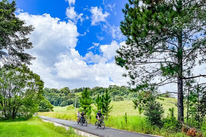 Self Guide E Bike Tour - Rail Trail, Rainforest & Husk Distillery