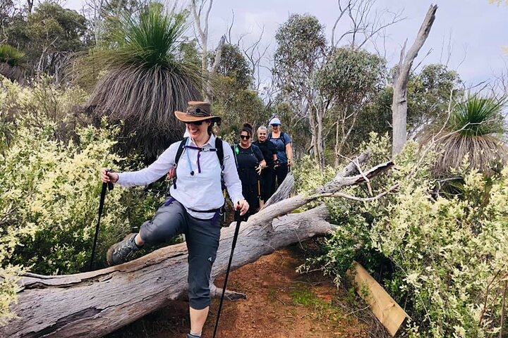 Numbat Trail Hiking Experience
