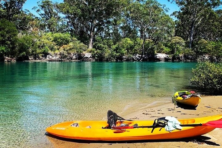 Sunset Kayak Eco Tour with Marine Scientist