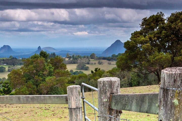 Sunshine Coast Hinterland & Kenilworth Tour Inc Lunch