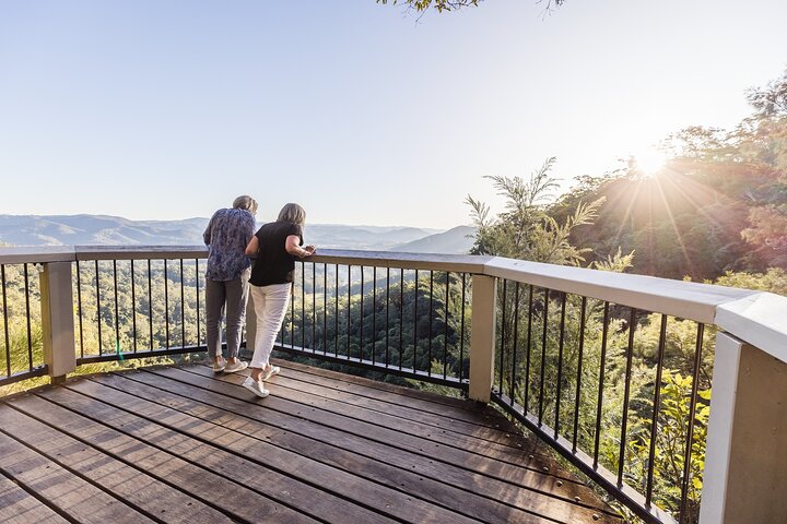 Sunshine Coast Rainforest Views and Montville Day Tour from Noosa