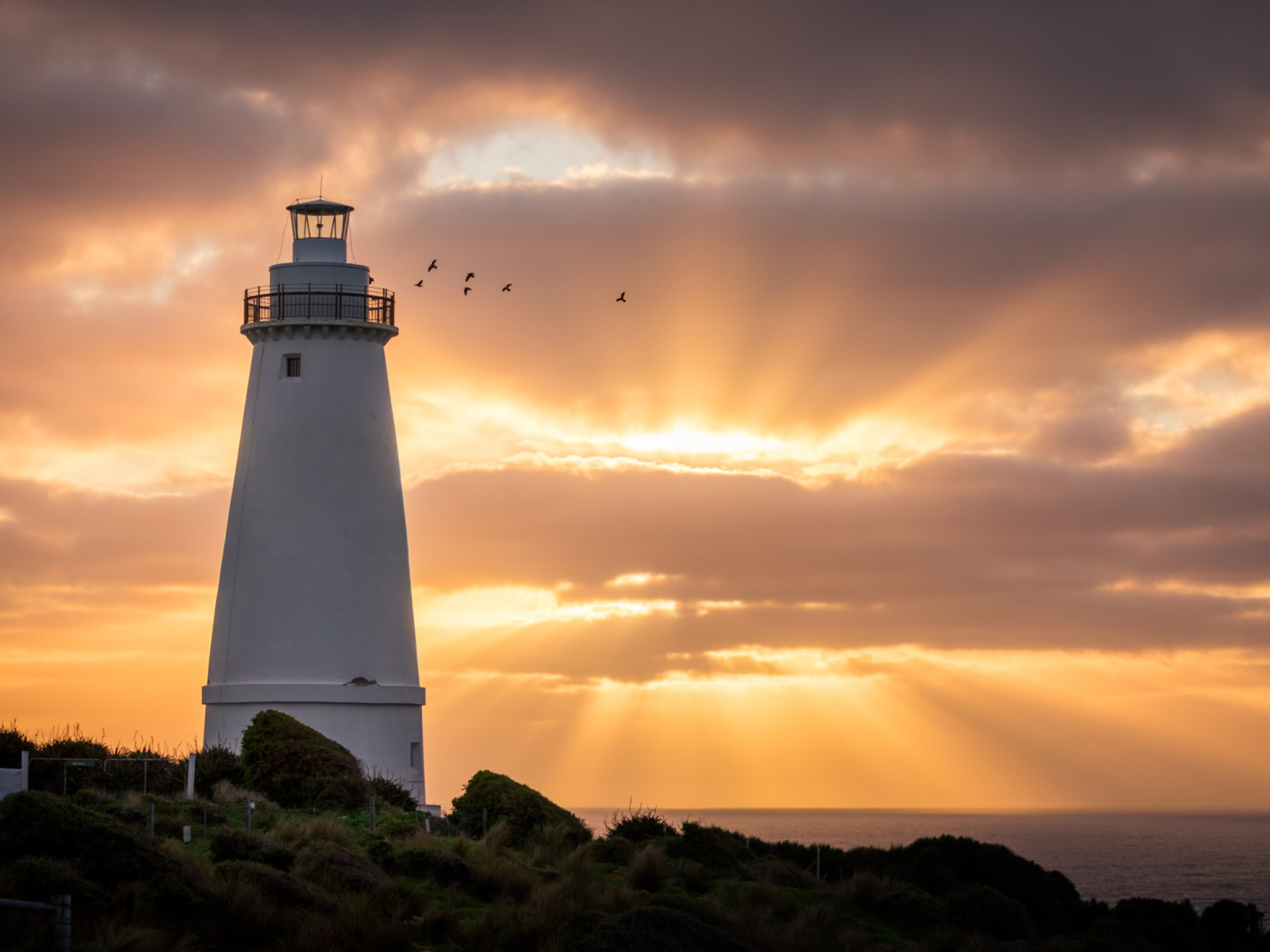 Private Coach - Lighthouse, Kangaroos and Views 24- or 57-seater