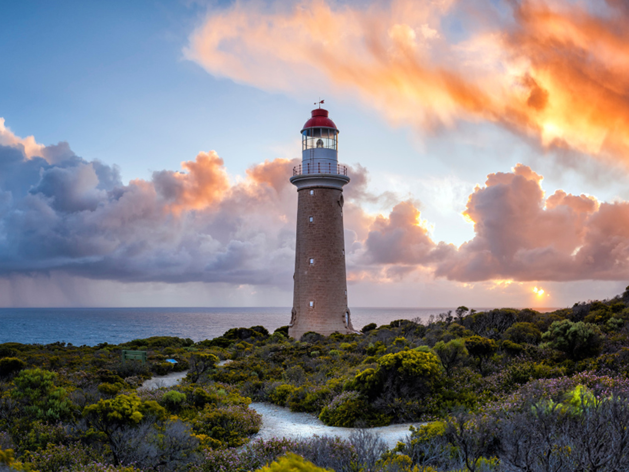 Kangaroo Island Lighthouse, Kangaroos and Wine Tasting  – Guided Coach Tour