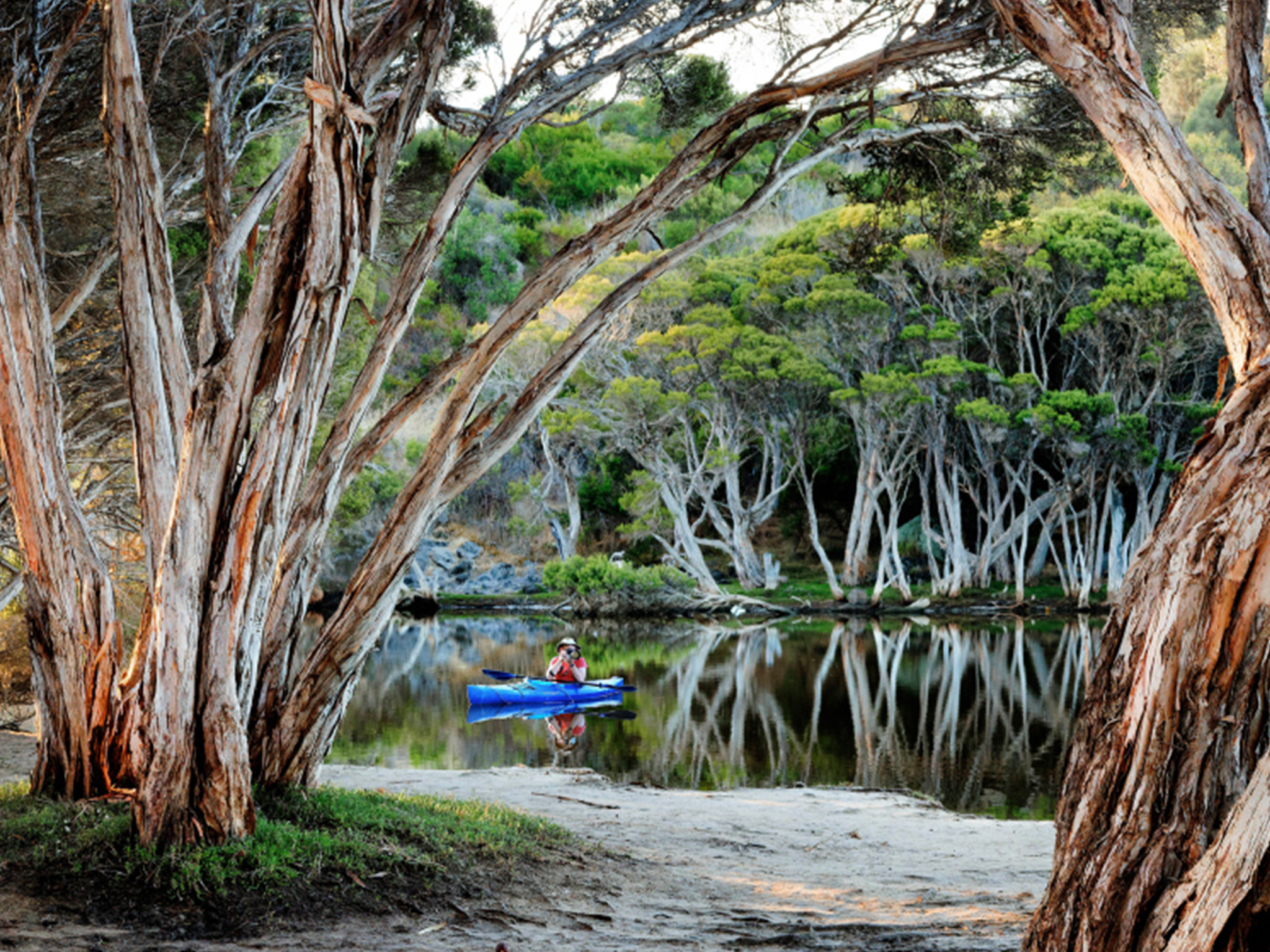 Private Coach - Lighthouse, Kangaroos and Views 24- or 57-seater