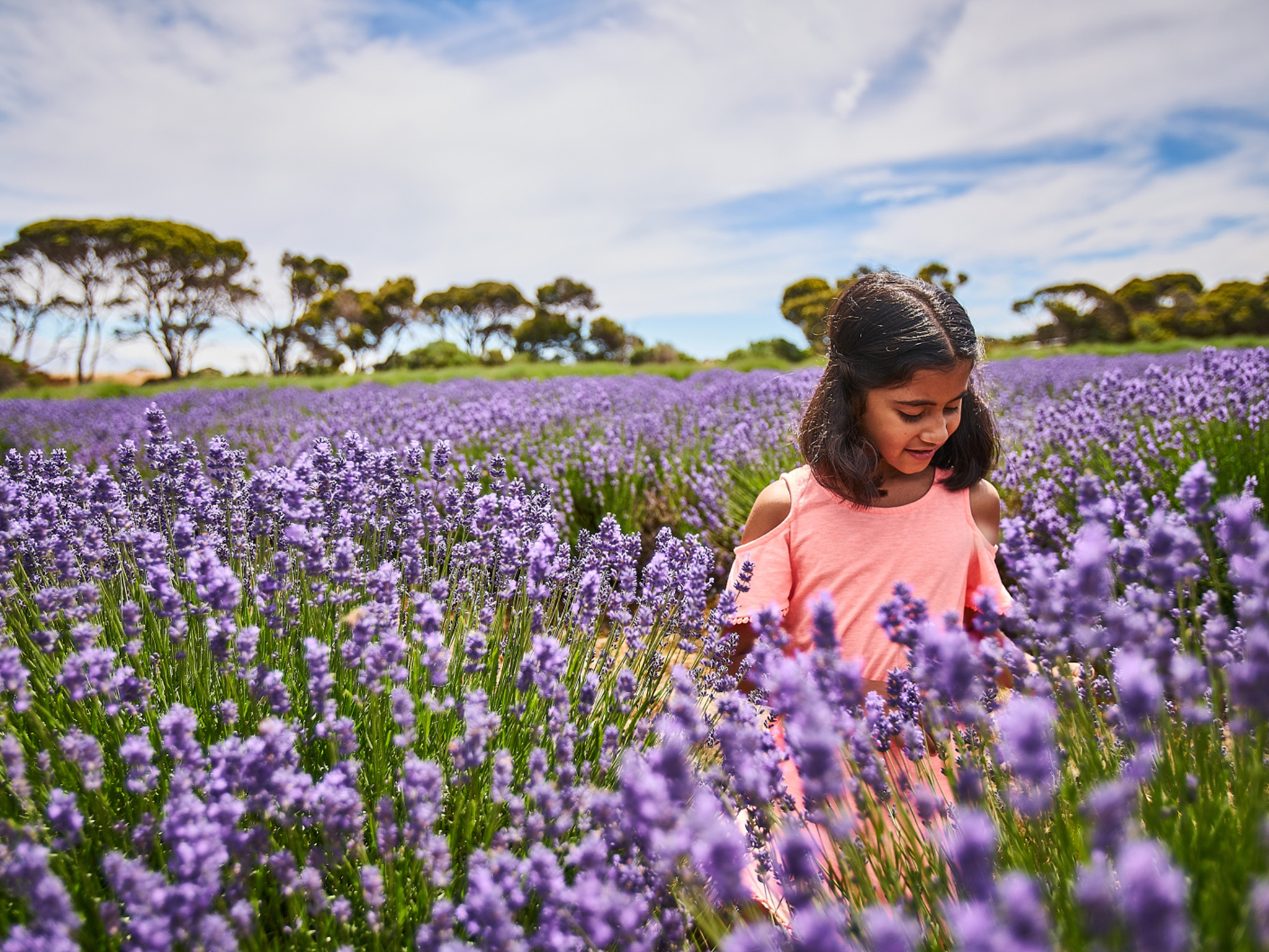 Private Coach - A Taste of Kangaroo Island 24- or 57-Seater